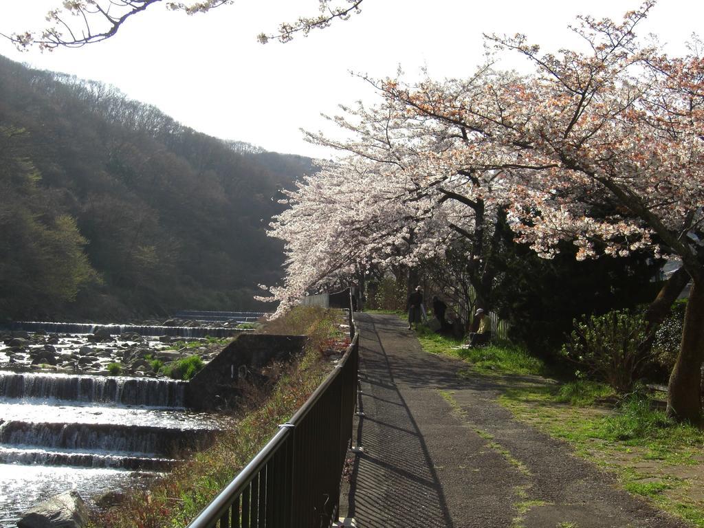 ホテル 強羅　花扇 箱根町 エクステリア 写真