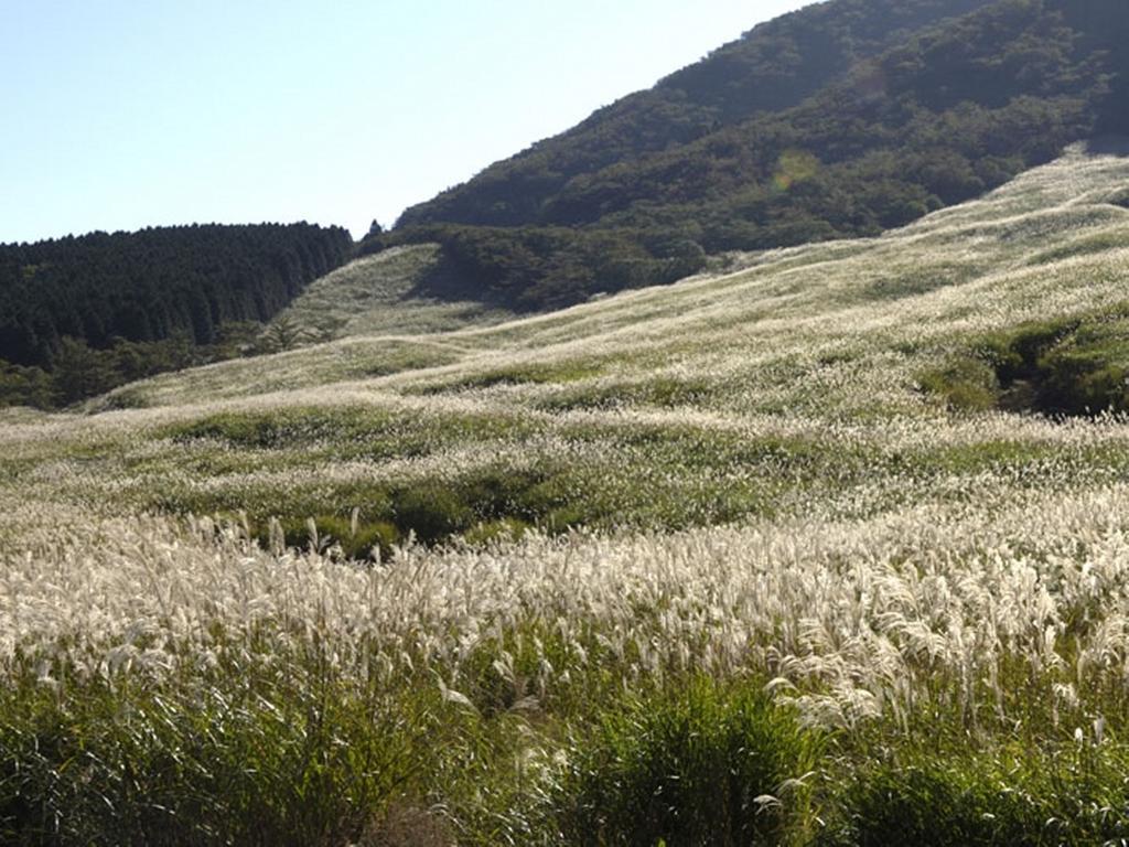 ホテル 強羅　花扇 箱根町 エクステリア 写真