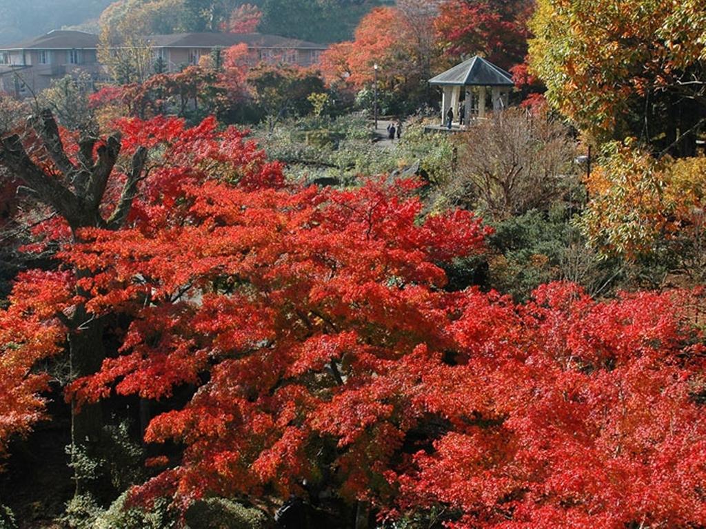 ホテル 強羅　花扇 箱根町 エクステリア 写真