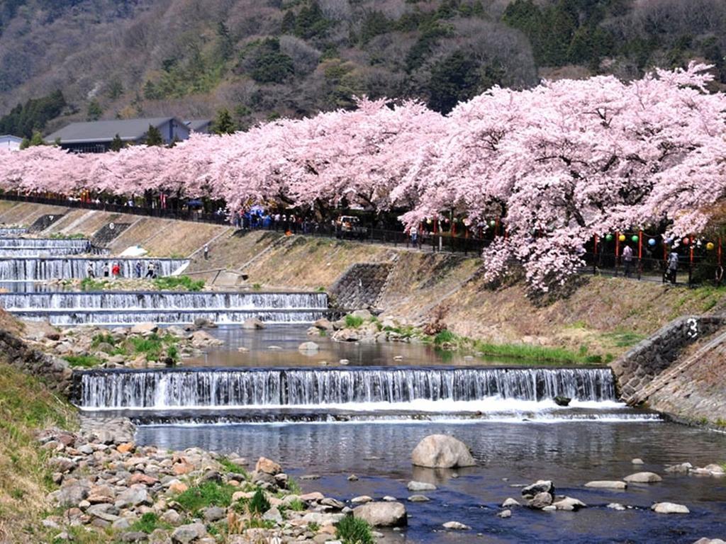 ホテル 強羅　花扇 箱根町 エクステリア 写真
